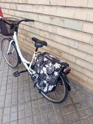 Bicicleta Paseo City 40 con Cesta
