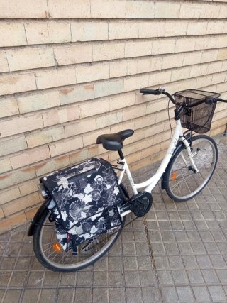 Bicicleta Paseo City 40 con Cesta