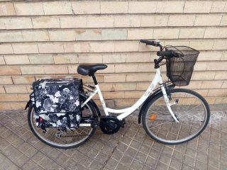 Bicicleta Paseo City 40 con Cesta