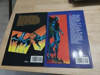 2 comics La legión de la noche