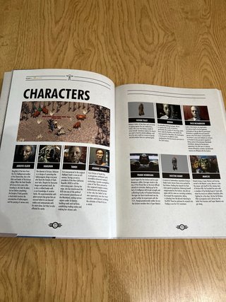 Libro The History of Fallout