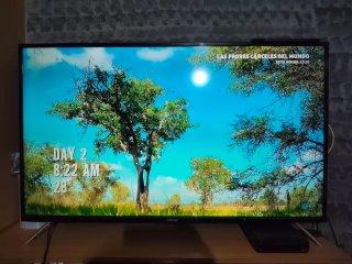 TV Android 55 con Android