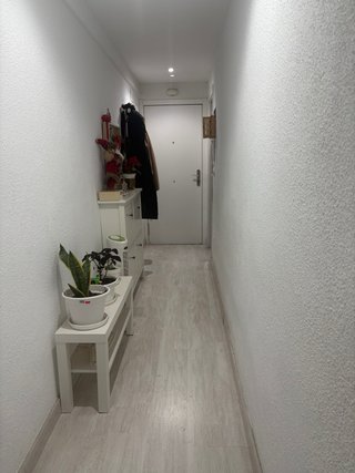 Alquiler de habitación