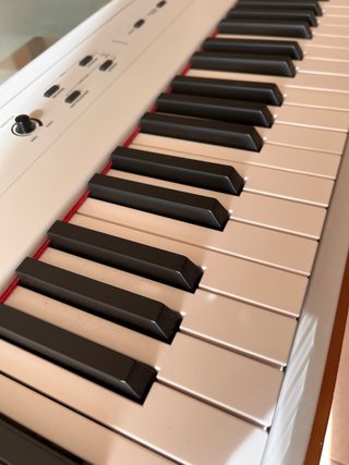 Teclado Alesis Recital 88 teclas Blanco