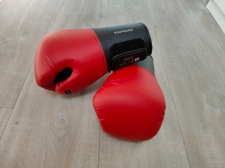 Saco de boxeo 14kg + guantes rojos 8 Oz