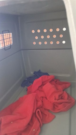 Caja transportadora para gatos gris