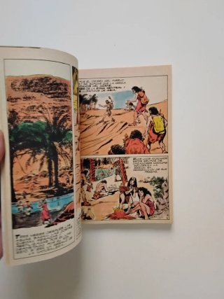 Lote 21 Comics La Gran Aventura de la Historia