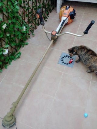 para reparar, o para piezas, se para