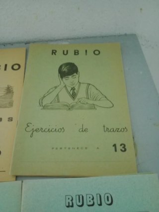 Lote Libros Rubio Escritura y Problemas