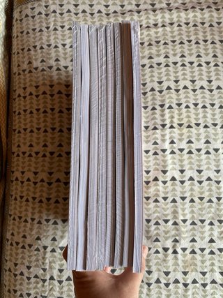 Lote: Números 3 a 6 de la revista PAN.