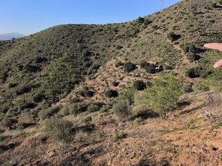 Terreno en venta en Residencial Jardín Botánico en Málaga