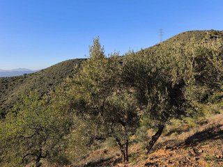 Terreno en venta en Residencial Jardín Botánico en Málaga