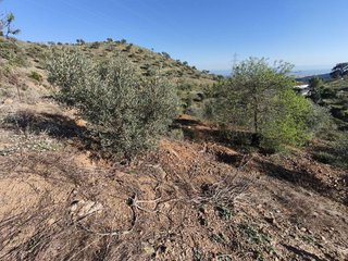 Terreno en venta en Residencial Jardín Botánico en Málaga