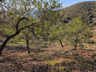 Terreno en venta en Residencial Jardín Botánico en Málaga