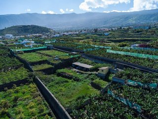 Terreno en venta en San Antonio - Las Arenas en Puerto de la Cruz