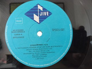 Vinilo Samantha Fox Nothing's Gonna Stop Me Now