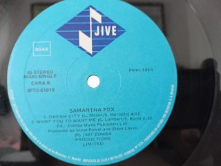Vinilo Samantha Fox Nothing's Gonna Stop Me Now
