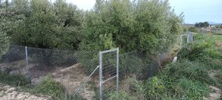 Terreno en venta en Moratalla