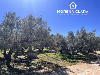 Casa rural en venta en Cabra