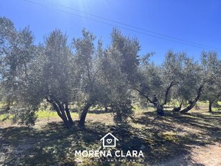 Casa rural en venta en Cabra
