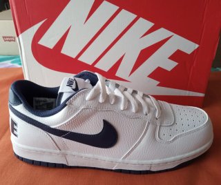 Zapatillas Nike Blancas y Azules