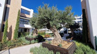 Piso en venta en Zona Norte en Estepona