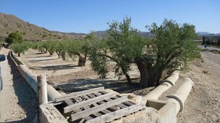 Terreno en venta en Abanilla