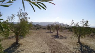 Terreno en venta en Abanilla