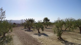 Terreno en venta en Abanilla