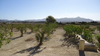 Terreno en venta en Abanilla
