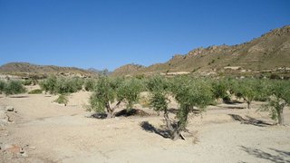 Terreno en venta en Abanilla