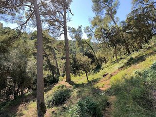 Terreno en venta en Tossa De Mar en Tossa de Mar