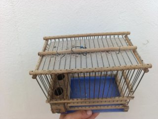 Jaulas para pájaros de madera