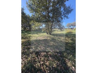 Terreno en venta en Cruïlles