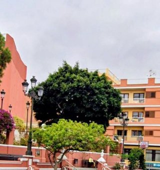 Local comercial en venta en Icod de los Vinos en Icod de los Vinos