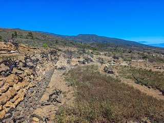 Terreno en venta en Arico