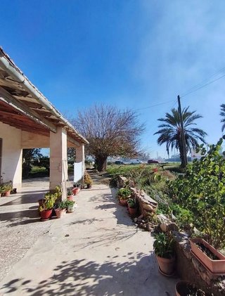 Casa rural en venta en La Algoda - Matola - El Pla en Elche