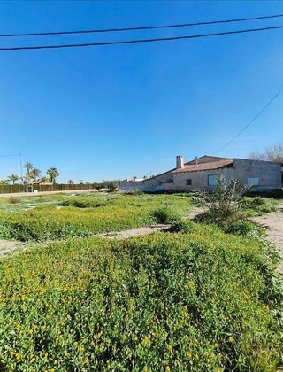 Casa rural en venta en La Algoda - Matola - El Pla en Elche