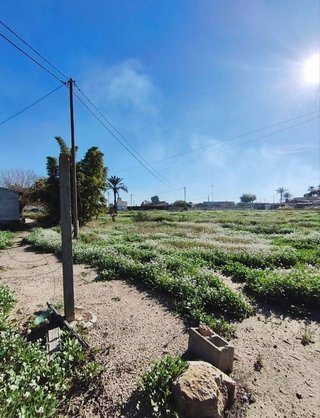 Casa rural en venta en La Algoda - Matola - El Pla en Elche
