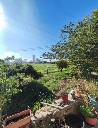 Casa rural en venta en La Algoda - Matola - El Pla en Elche