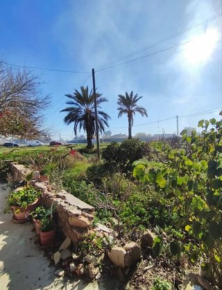 Casa rural en venta en La Algoda - Matola - El Pla en Elche