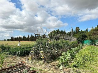 Casa rural en venta en Norte en Jerez de la Frontera
