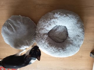 Cama para gato suave y cómoda.