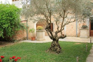 Chalet en alquiler en Algaida