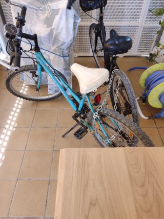 Bicicleta de Montaña SKYNOX Azul