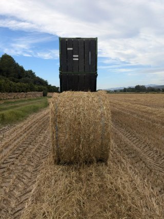 KRONE SWADRO 355 - 2003 y Empacadora John Deere 55