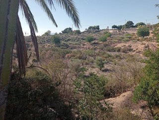 Casa rural en venta en Crevillent