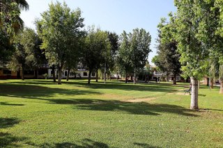 Chalet en venta en Rinconada (La)