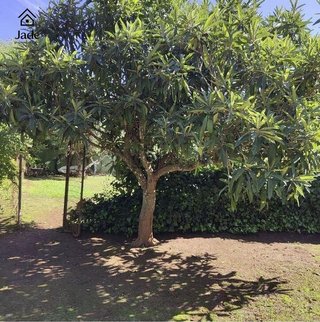 Chalet en venta en El Higuerón en Córdoba