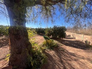 Terreno en venta en Urbanizaciones en Llíria